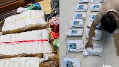 Đà Nẵng triệt xóa đường dây mua bán 'cỏ Mỹ' lớn nhất từ trước đến nay