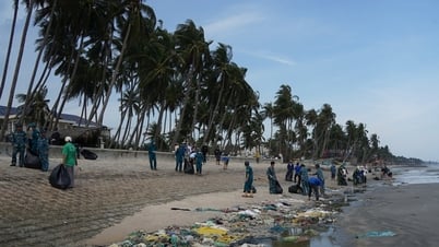 Thu gom rác thải đại dương trên bờ biển Lâm Đồng
