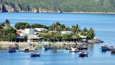 Bích Đầm - miền xanh hoang sơ giữa vịnh Nha Trang