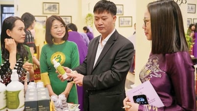 Khoa học, công nghệ, đổi mới sáng tạo và chuyển đổi số: "Chìa khóa" để Huế phát triển