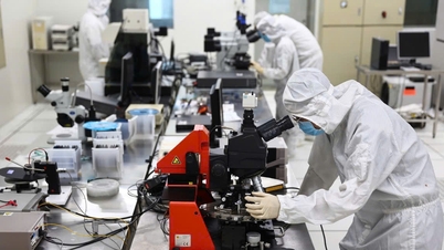 Innovative science and technology management: Embrace risk, measure by output results.