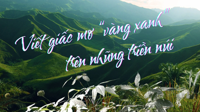 Viết giấc mơ "vàng xanh" trên những triền núi