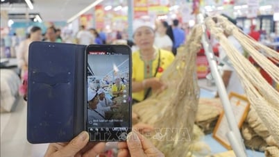 Nghệ An: Xây dựng, phát triển các nền tảng số dùng chung