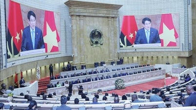 Faire des relations entre le Vietnam et l'Angola un modèle de coopération Sud-Sud