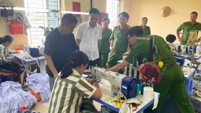 Le vice-ministre Dang Hoang Giang inspecte le travail d'amnistie en 2025