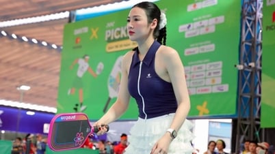 Người Việt chi hơn 510 tỷ đồng mua đồ pickleball trong nửa năm?