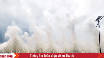 Quản chặt tàu thuyền, sẵn sàng ứng phó với áp thấp nhiệt đới trên Biển Đông