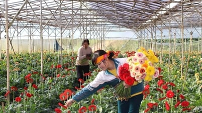 Kỳ vọng “thủ phủ hoa” vươn mình khẳng định vị thế