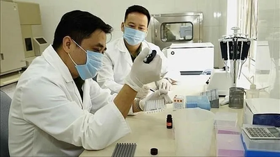 Tổ chức ngoài công lập dự kiến được cấp phép giám định ADN