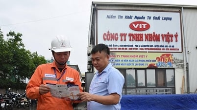 Điện quý, đừng lãng phí