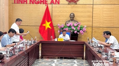 Nghệ An chủ động rà soát, đánh giá đẩy nhanh tiến độ sắp xếp, đổi mới doanh nghiệp