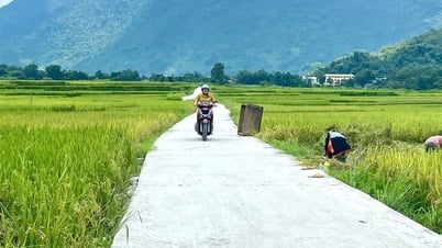 Tập trung xây dựng nông thôn mới sau sáp nhập