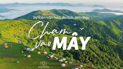 Đêm nhạc acoustic 'chạm vào mây' trên thảo nguyên Bùi Hui tuyệt đẹp