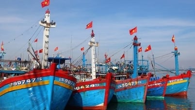 Xuất hiện áp thấp nhiệt đới trên biển Đông và các chỉ đạo ứng phó