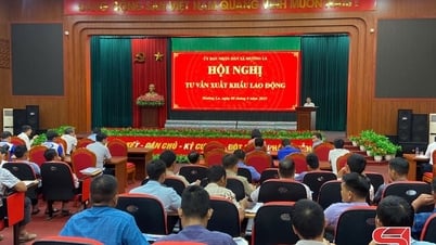 Mường La tư vấn xuất khẩu lao động
