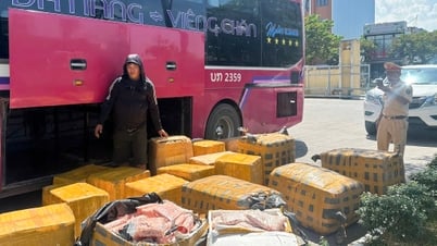 Gần 1 tấn sụn chân gà bốc mùi bị thu giữ trên đường vận chuyển