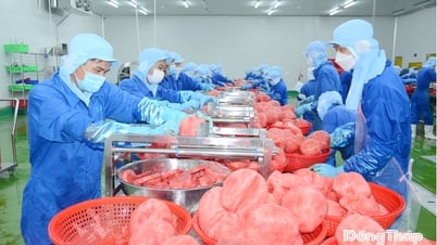 Đầu tư chế biến sâu: Đòn bẩy nâng tầm nông sản Đồng Tháp