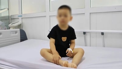 Chữa táo bón bằng lá lộc mại, bé 3 tuổi phải nhập viện cấp cứu