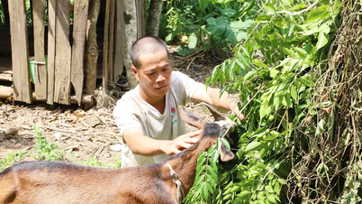 Biến con giống thành sinh kế, giúp dân thoát nghèo
