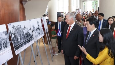 65 años de Vietnam-Cuba: Lealtad, firmeza, un mismo latido