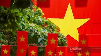 Hà Nội khoác áo cờ đỏ sao vàng, rực rỡ đón mừng ngày Tết Độc lập
