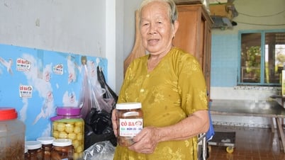 Délicieuse sauce de poisson à tête de serpent Vinh Thuan