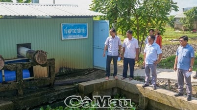 Коммуна Винь Тхань: проверка и завершение строительства системы дамб и электрической насосной станции.