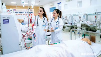 Nâng cao chất lượng nhân lực y tế 'vững chuyên môn, giàu y đức'