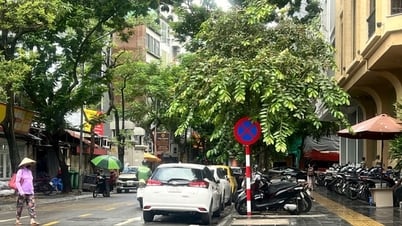 1 सितंबर, 2025 को हनोई मोई अखबार पर विशेष समाचार