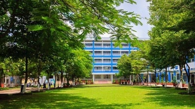 公立大学では、3科目で14ポイントの追加専攻を募集しています。