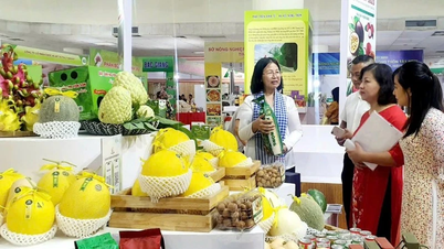 Potensi pengembangan model e-koperasi