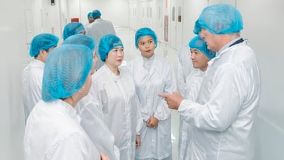 Vietnam erhält Technologietransfer zur Herstellung von Krebsmedikamenten aus Kuba