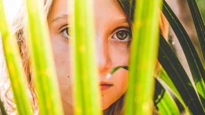 As palavras que os humanos usam para descrever a natureza estão desaparecendo.