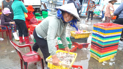 Fishermen hit it big at sea, Tan Phuoc Fishing Port bustling in early September