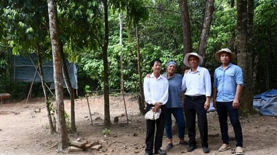 Thì thầm cùng những nền văn minh