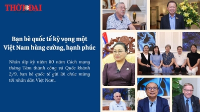 [Video] Amigos internacionales envían saludos al pueblo vietnamita