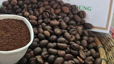 Harga kopi berfluktuasi setelah AS mengenakan tarif pada Brasil, harga lada berbalik turun