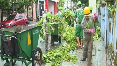 राष्ट्रीय दिवस के लिए पर्यावरण स्वच्छता