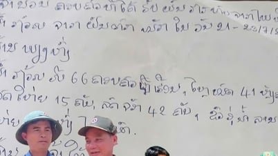 Bức thư viết vội và những hồi đáp nồng ấm bên Đông Trường Sơn