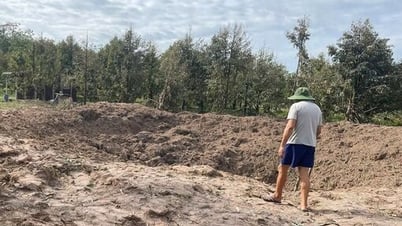 Bom cũ phát nổ trong vườn sầu riêng tại xã Hưng Thuận