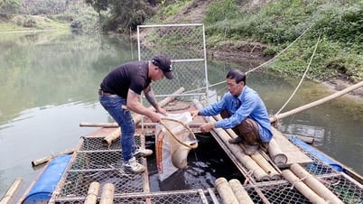 Phiêng Chì hôm nay