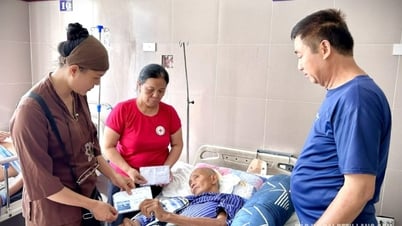 Donated nearly 100 million VND to support victims of accidents while picking custard apples