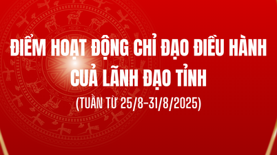 2025년 8월 25일부터 8월 31일까지의 주간 동안 도지사의 방향 및 운영 방향