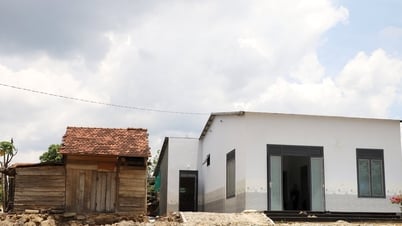 Lam Dong completes the goal of eliminating temporary and dilapidated houses
