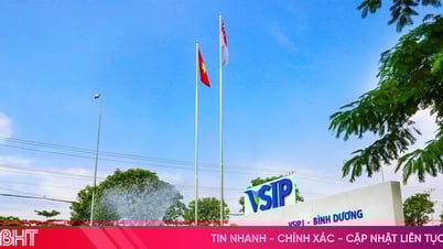أرباح VSIP تزيد عن 6 مليار دونج يوميًا