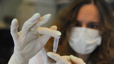 Rússia registra primeiro caso importado de febre chikungunya