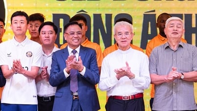 ¿Cuál será el destino del Club Dong A Thanh Hoa cuando el presidente del club sea arrestado?