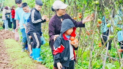Membentuk jenama pelancongan hijau