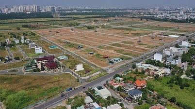 Zřídit pracovní skupinu pro realizaci kampaně na obohacení a vyčištění národní databáze o půdě.