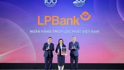 6 nejlepších bank s největšími příspěvky do rozpočtu ve Vietnamu: Průlom LPBank